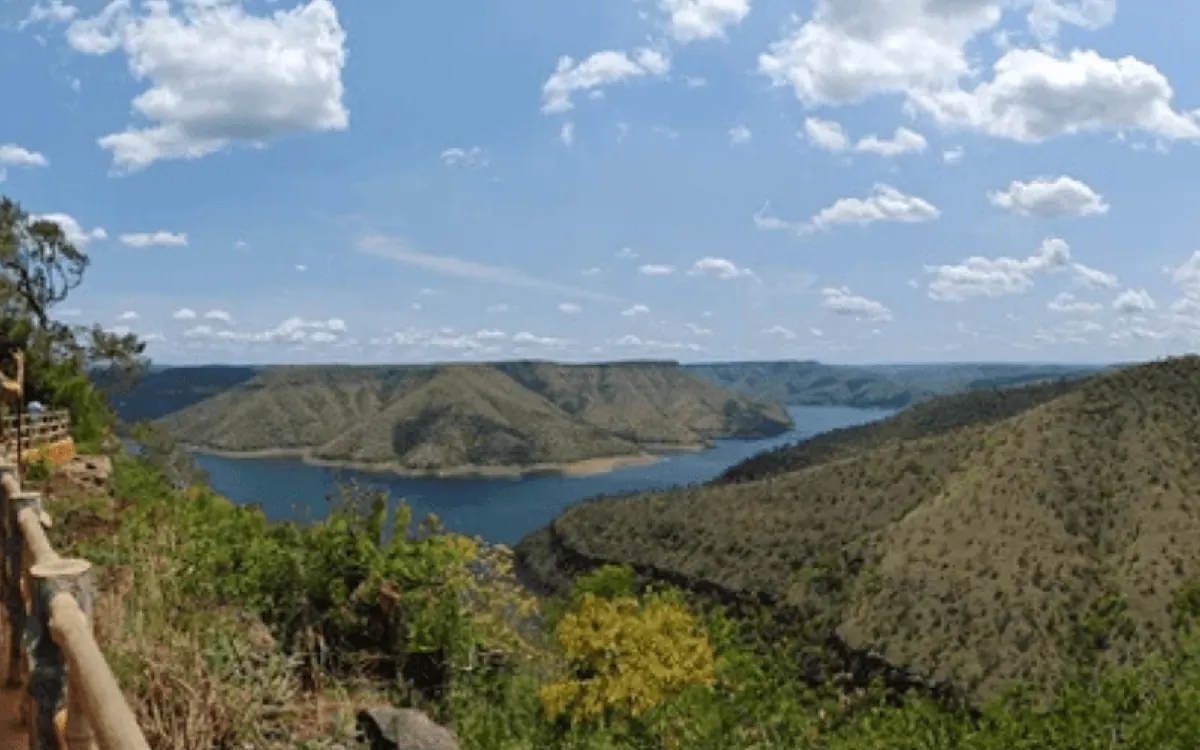 Octopus View Point Srisailam